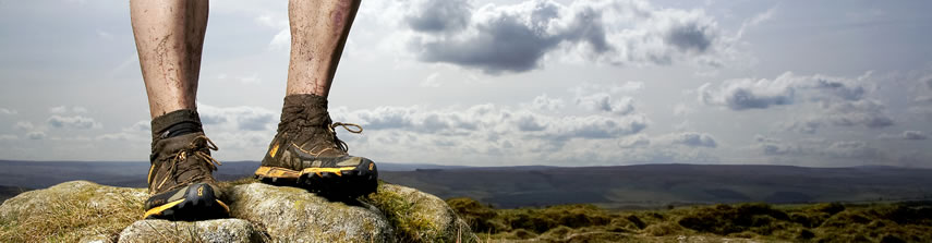 Ankle Replacement Surgery