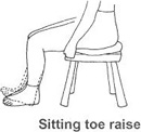 Sitting Toe Raise